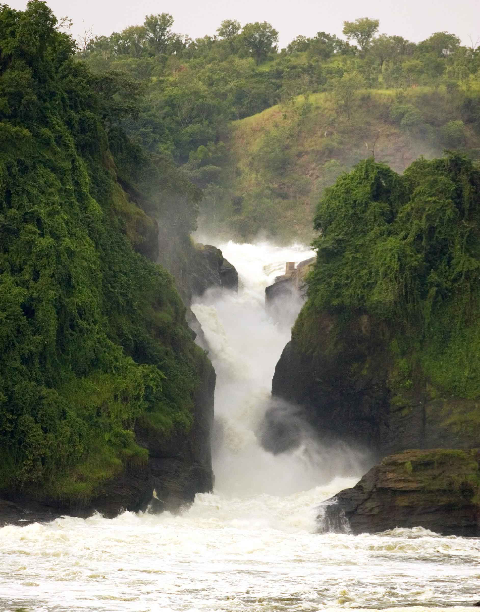 uganda murchison falls national park tour