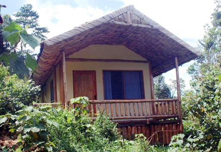 Engagi Lodge Bwindi
