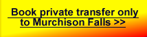 Murchison Falls private transfers, car hire to masindi