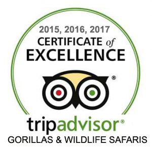 recommended gorilla tour company uganda