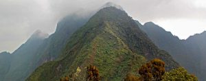 Sabyinyo Volcano, compare gorilla trekking tours uganda rwanda congo tracking