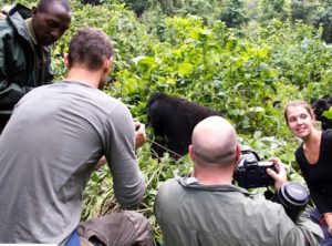 Uganda Gorilla Trek tour experience gorilla tracking safari Bwindi
