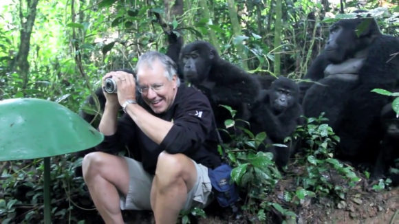 touched by gorilla habituation experience