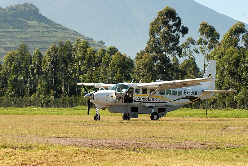Flying Uganda Gorilla Trek Wildlife Safari and Chimps - 7 Days