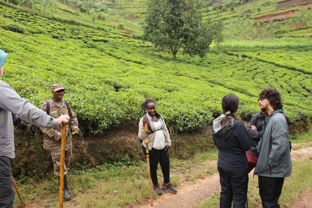 Is Uganda Safe for Tourists? Is it safe to go to Uganda, How safe is Uganda