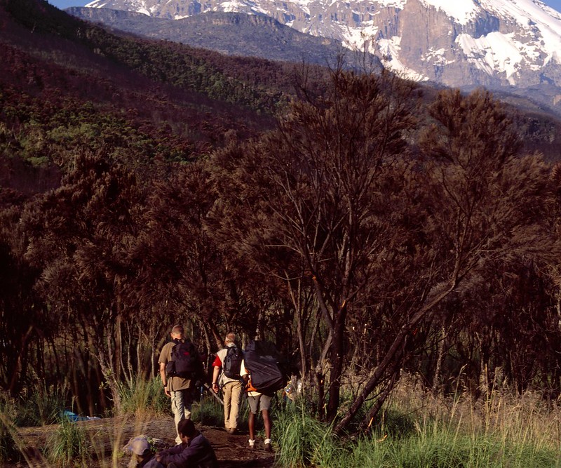Machame route mount Kilimanjaro climbing
