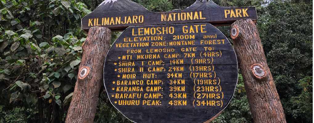 The 8 days Lemosho route itinerary gives you an extra day advantage for acclimatization purposes on Mount Kilimanjaro. This 8-day Mount Kilimanjaro package for trekking the mountain through the Lemosho Route used to begin at the Londorossi gate and descending is done through a different trail