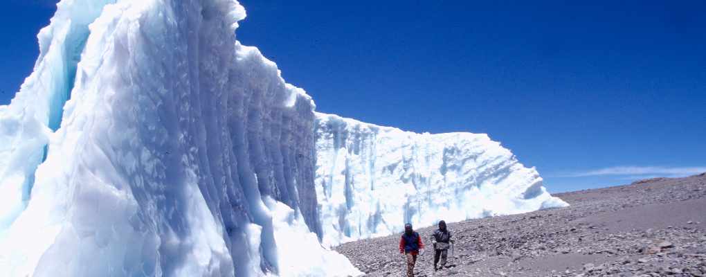 Northern Circuit route is the best Kilimanjaro climbing tour that offers a less traveled and more gradual ascent, allowing for ample acclimatization time and increased chances of reaching the summit with a success rate of approximately 98%.