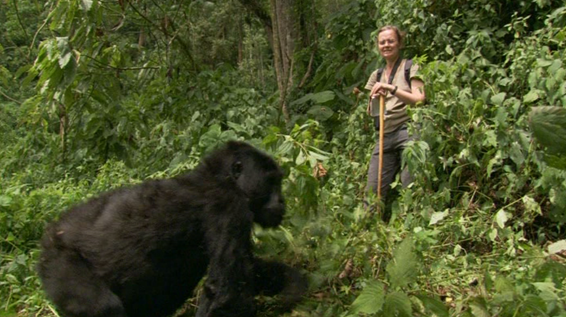 Uganda safari packages tours