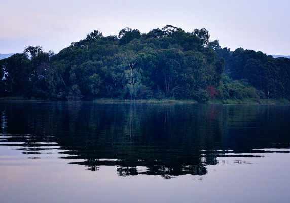 Uganda Lake Bunyonyi gorilla trek Bwindi Canoeing tour Gorillas and wildlife safaris