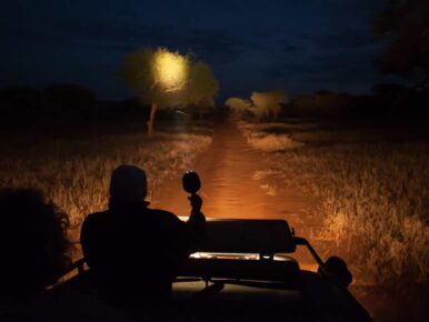 Night-Game-Drives-in-Murchison-Falls-National-Parkddd