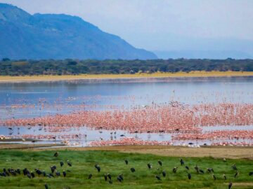 lake-manyara-1