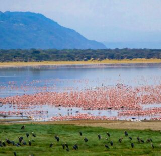 lake-manyara-1
