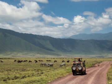 Uganda Rwanda Tanzania Safari