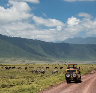Uganda Rwanda Tanzania Safari