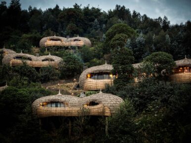 wilderness-bisate-villas-rwanda-volcanoes-national-park